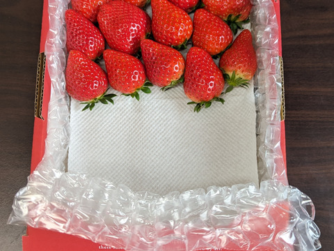 ❤口いっぱいにあふれる果汁❤ いちごさん 約７００ｇ🍓