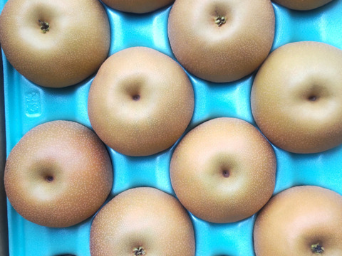 【南水5ｋｇ】糖度15°、超甘い、シャリ感、硬い、ジューシー、日保ちする信州生まれの優れもの！⑦【秀品】