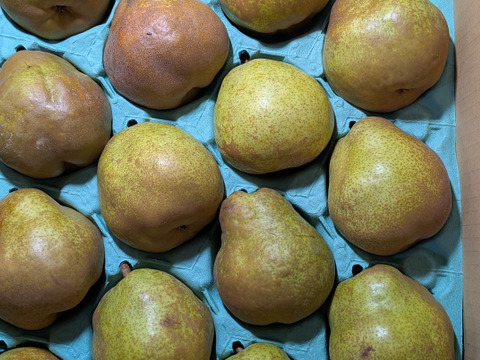 ラ・フランス家庭用