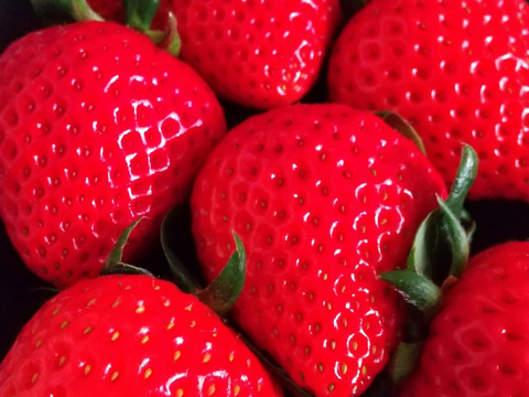 あまりん 7粒～15粒‼️ 2パック