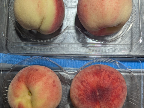 桃、ズッキーニ、トマト、タマネギ