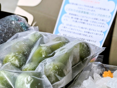 お家でうめしごと。☆梅シロップkit☆　初心者でも失敗しない梅シロップキットをお届けします！