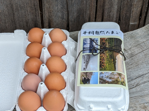 濃厚な旨味たっぷり「平飼いなかのさわ卵」中大サイズ混 30個入り