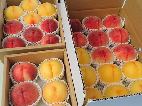 8月上旬限定セット】山梨県産桃 赤＆黄の詰め合わせ（3kg）《本州