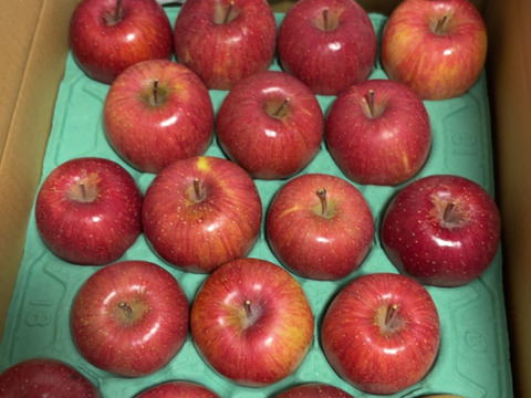 綺麗な葉とらずサンふじ 5キロ箱 12～18玉