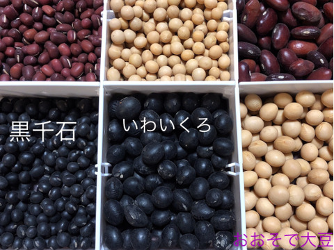 【北海道十勝産】豆たべくらべセット（3種類）