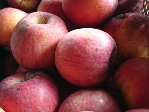 節減対象農薬：当地比5割減栽培、化学肥料除草剤不使用　長野りんご　サンふじ　5キロ