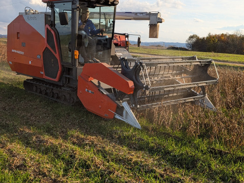 有機青大豆 大袖の舞 4kg  北海道十勝 “豆のまち”本別町 2025年産　オーガニック