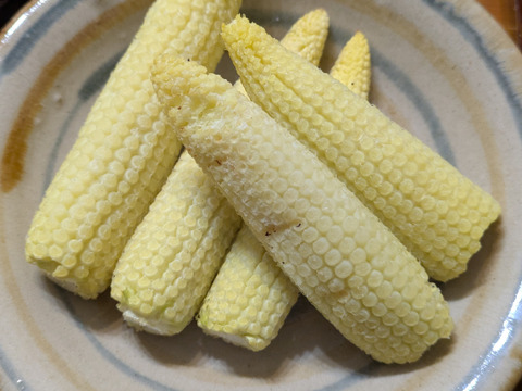 【今が旬！】沖縄の初採れヤングコーン約700g