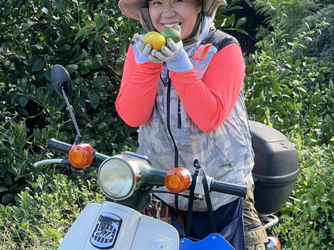 【訳アリ】【期間限定価格】甘酸っぱくって果汁たっぷり！宮下さんの「極早生みかん」