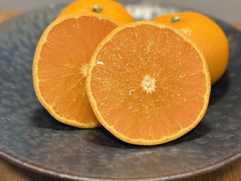 5Kg 実がギュッと！高級品種【せとか】