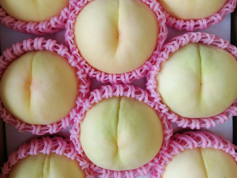 2025年先行予約【ご家庭用】【朝どれ】8玉入り詰合せ　くだもの王国おかやまよりお届け(1品種〜3品種)