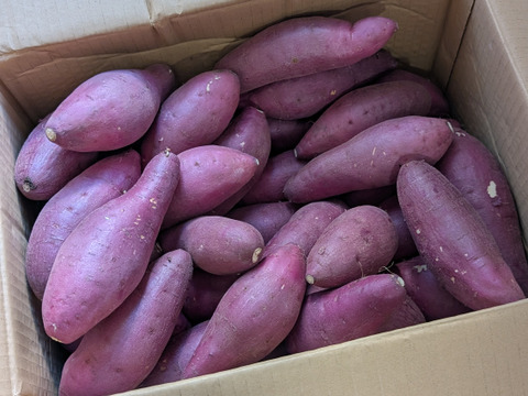 上品なブランド ねっとり極甘さつまいも！熟成紅はるか12kg（S~2Lサイズ不揃い 野菜