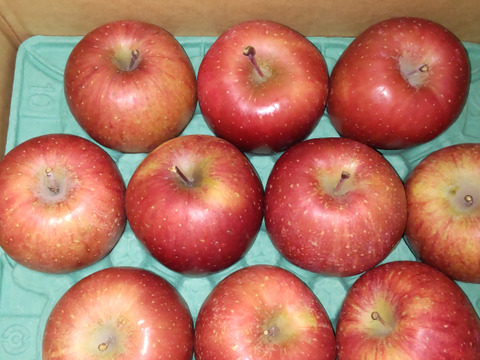 【夜市限定】大玉から順に発送‼️とことん味にこだわりました💪😊🍎青森県産葉取らず完熟ふじ3キロ。