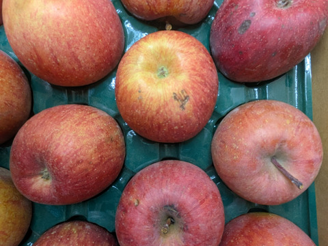 ふじリンゴ5kg箱詰め