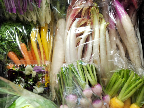 【春めく菜花やつぼみ菜入り】おまかせ野菜セット10種前後～