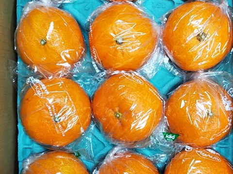 甘平　贈答用袋入り　12玉