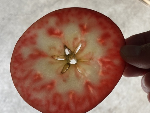 中が赤い‪‬第3弾(;ﾟДﾟ)!いろどり3kg