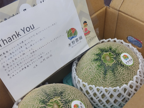 【金賞受賞】シルキーメロン『ロピア』1.6kg×２玉