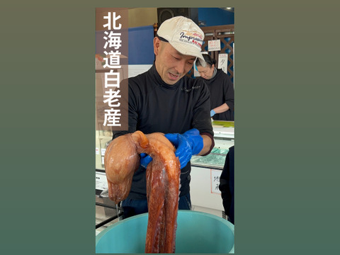 北海道白老産　活茹で水だこ（足）1.4㎏2本【1本真空加工】