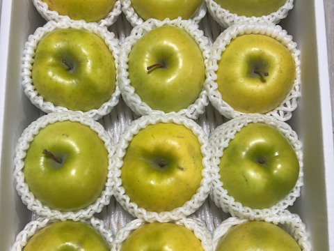 超希少りんご　こうこう3キロ7-12玉　樹上完熟蜜入りチェック済み　幸せ呼ぶ黄色いりんご　11月25日頃より発送予定