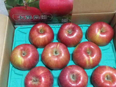 あいかの香り2.8キロ(7～12個)