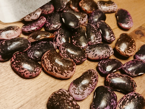 食べ応え抜群！高級豆！高原の紫花豆【300ｇ】(150ｇ×2袋)