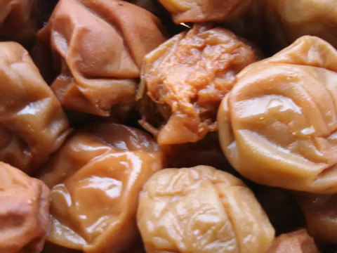 子供に食べさせたい🍑【ばぁばのモノスゴイ旬の青梅❗❗】自然栽培約３㎏✨✨✨