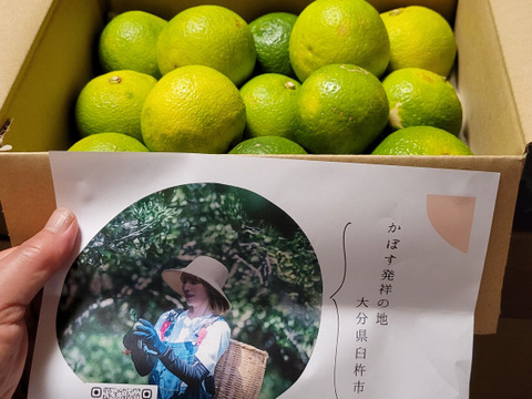 《農薬不使用》かぼす発祥の地/臼杵市産/香り高いかぼす《大分一号》1kg