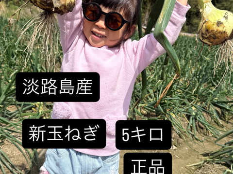 【正品】今が旬の淡路島新玉ねぎ5キロ
水分量も甘さも1番！