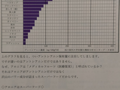 ★6【ｽｰﾊﾟｰﾌｰﾄﾞ】セミドライアロニア（ｱﾝﾄｼｱﾆﾝ豊富♪無添加無着色）33ｇ×6個（やわらかめの乾燥したてを発送）新潟県産　アロニア