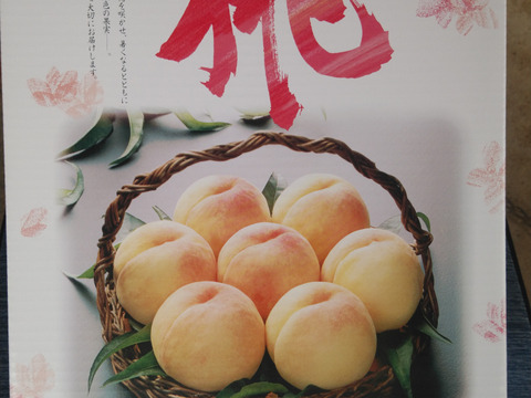 【2025年先行予約】　
　清水白桃/白鳳  【ご家庭用】【朝どれ】【樹熟🍑】2㎏化粧箱でお届け！