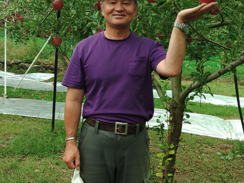 贈答用にもりんご🍎サンふじ🍎　　5kg　大玉～中玉(12～14玉サイズ)