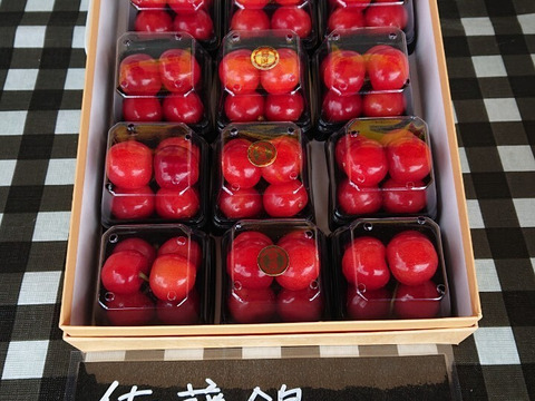 まるせい果樹園のさくらんぼ　『佐藤錦』　特撰　500ｇ　ご贈答用  ss4