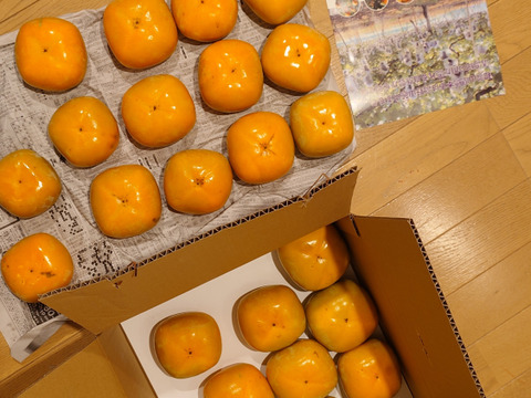 秋穫祭！500円引き！秋の味覚　和歌山のたねなし柿　訳あり　M〜2L 約5kg