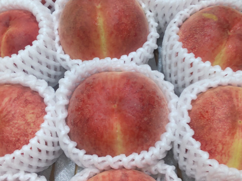 【べにみなみ３ｋｇ】糖度18°前後。 硬くて超甘い高糖度な桃、約3ｋｇ