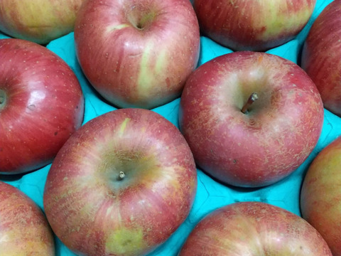信州りんご３キロ『信州りんご4.5キロ』のパック詰め改良版です。