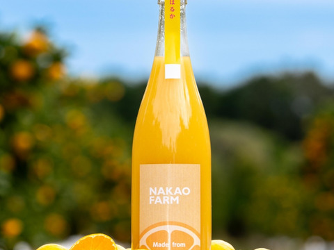 濃厚はるかジュース(1本)