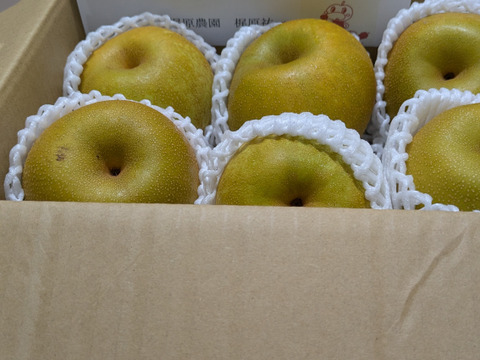 【幸水２ｋｇ】高原の「幸水」は硬さ、シャリ感、ジューシー、甘さが違う。④海藻エキス投与で、コクと旨味のある梨にグレードアップ！【秀品】先行販売3