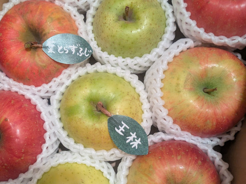 ★★新春セール★★【冬ギフト】【食べ比べ】 🍎大人気🍏葉とらずふじ・王林  計８～1２玉
詰め合わせ3キロ箱 ミックス ID118320