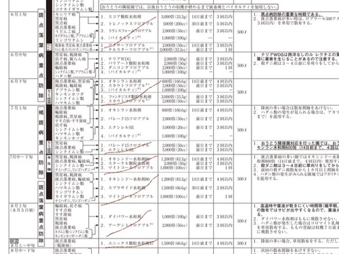 蜜入りチェック済！3キロ9-13玉葉取らず農薬半減栽培樹上完熟蜜入サンふじ　蜜ライトにて光を通すかチェックします！　りんご