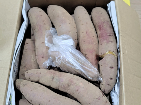 なめらかな舌触りと上品な甘さの
【シルクスイート】千葉県香取市産　2.8kg SM