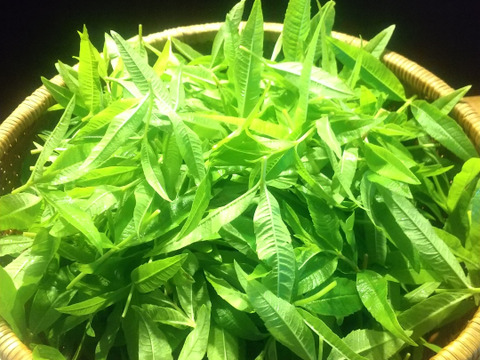 【数量限定アソート商品】大切な方への贈り物に！体と心に沁み渡る豊かな香りと味わい！ハーブティーアソート（農薬化学肥料不使用）リカバリー/リラックスブレンド、ハイビスカスローゼル華やぎ