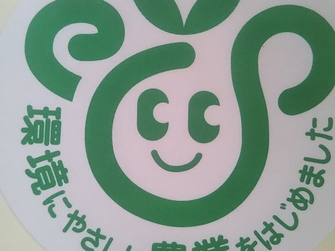 【冬ギフト】池多リンゴふじ16,18玉