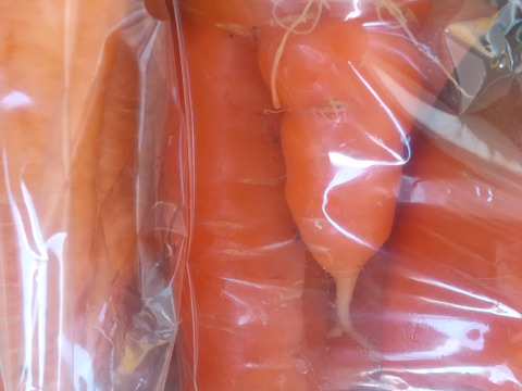 訳あり、自然栽培の人参2kg