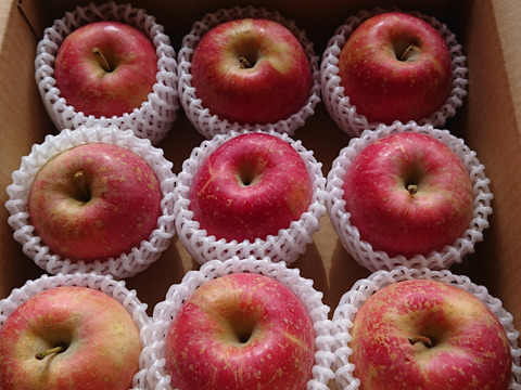【🍎サンふじ】 中玉9個 (2.3㎏・家庭用)