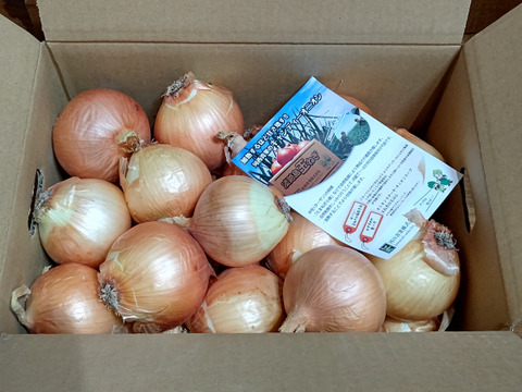【特別価格】【訳あり】淡路島産玉ねぎ5kg