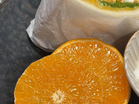 5Kg 実がギュッと！高級品種【せとか】