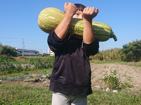 にこさん専用伝統野菜　鶴首かぼちゃ自然栽培2キロズッキーニ1キロ80サイズ在来種の伝統野菜　自然栽培　写真は見本です。