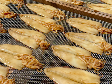 【旨醤油漬け】ヤリイカの漁師焼き 中サイズ